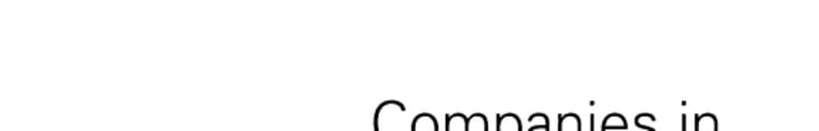 Companies In 2002-2003 Report for the Year Ended 31 March 2003