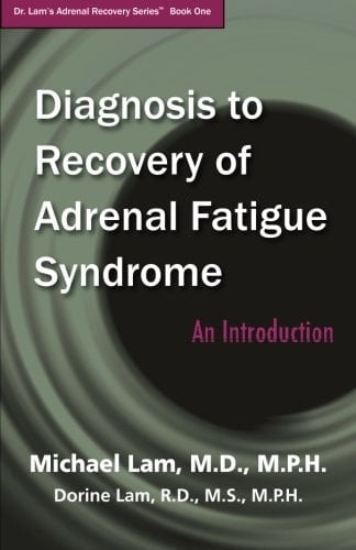 Diagnosis to Recovery of Adrenal Fatigue Syndrome: An Introduction