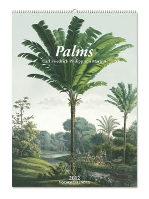 Palms 2012 Large Calendar
