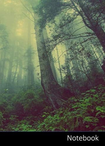 Notebook: Petit carnet de notes forêt enchantée | petits carreaux | format A6