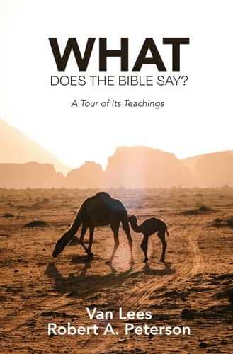 What Does the Bible Say?