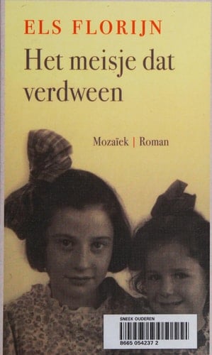 Het meisje dat verdween roman