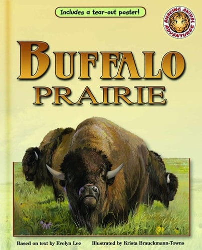 Buffalo Prairie