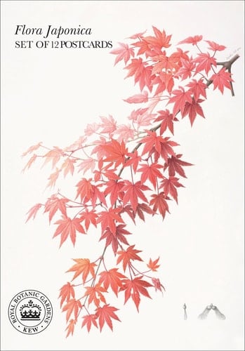 Flora Japonica Postcard Book