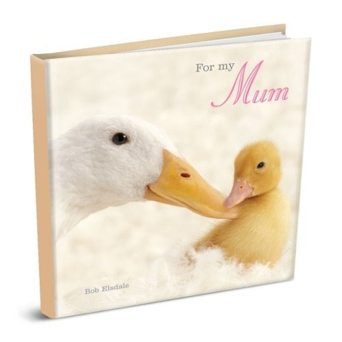 For My Mum (Under Your Wing Gift Book)