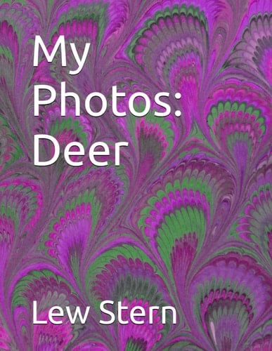 My Photos: Deer