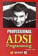 PROFESSIONAL ADSI PROGRAMMING