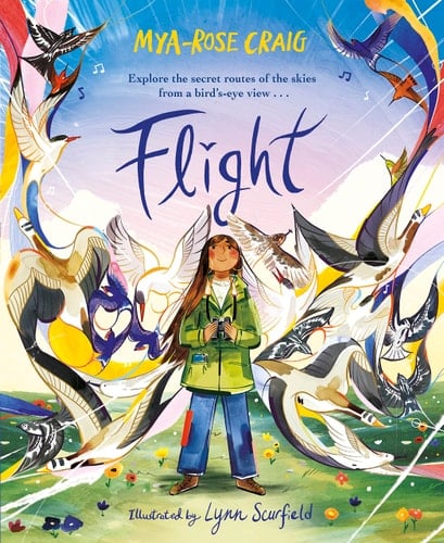 Flight Explore the Secret Routes of the Skies from a Bird's-Eye View