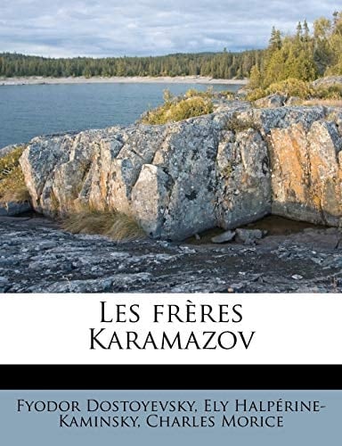 Les frères Karamazov (French Edition)