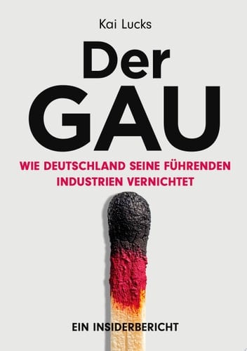 Der GAU- wie Deutschland seine führenden Industrien vernichtet Wirtschaftsgeschichte aus der Sicht eines Insiders