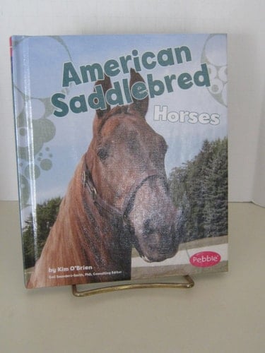 American Saddlebred Horses