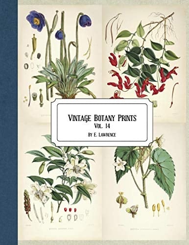 Vintage Botany Prints Vol. 14