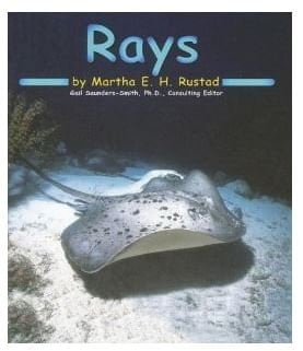 Rays [Scholastic]