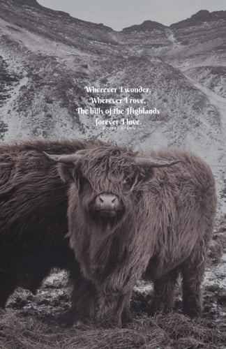 Wherever I wonder, Wherever I rove, The hills of the Highlands forever I love. A5 Notebook Journal Scotland Highland Cow: A5 Notebook Scotland Highlands