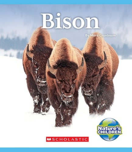 Bison