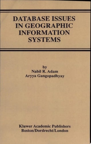 Database Issues in Geographic Information Systems