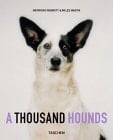 A Thousand Hounds