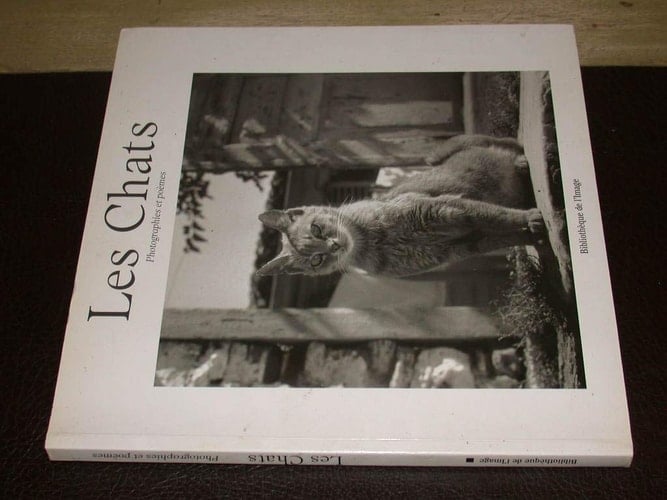 Les Chats Photographies Et Poems