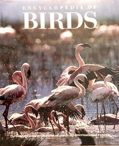Encyclopedia of Birds (Encyclopedia of Animals)