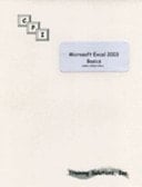 Microsoft Excel 2003 Basics