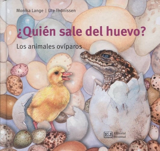 ¿Quién sale del huevo? los animales ovíparos