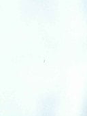 Chilton 2005 Service Manuals Set (6 Manuals)