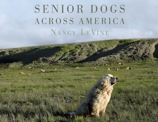 Senior Dogs Across America Portraits of Man's Best Old Friend