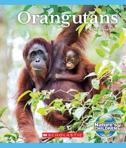 Orangutans (Nature's Children)