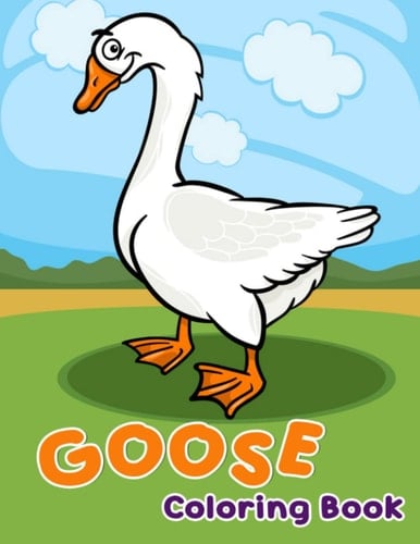 Goose Coloring Book: Awesome 30 Design Colouring Pages to Drawing | For Birthday Gifts | Christmas Gifts for Toddlers, Kids, Childs Gifts