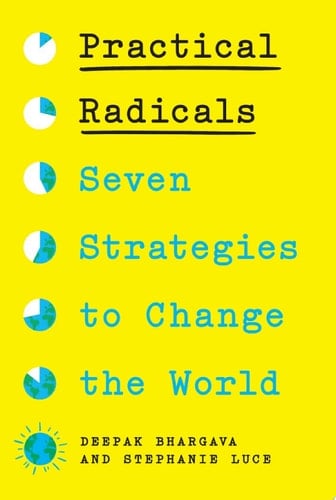 Practical Radicals Seven Strategies to Change the World
