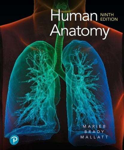 Human Anatomy