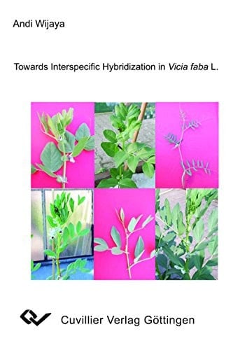 Towards Interspecific Hybridization in Vicia Faba L.
