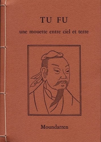 Une mouette entre ciel et terre poèmes
