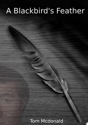 A Blackbird's Feather