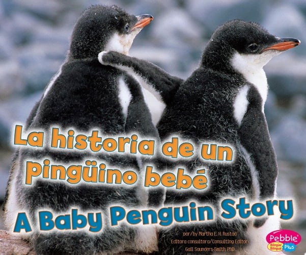 Baby Penguin Story