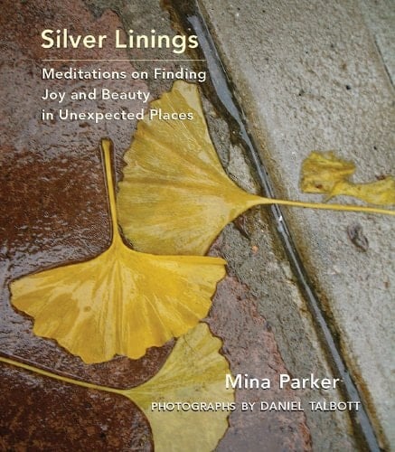 Silver Linings Meditations on Finding Joy and Beauty in Unexpected Places