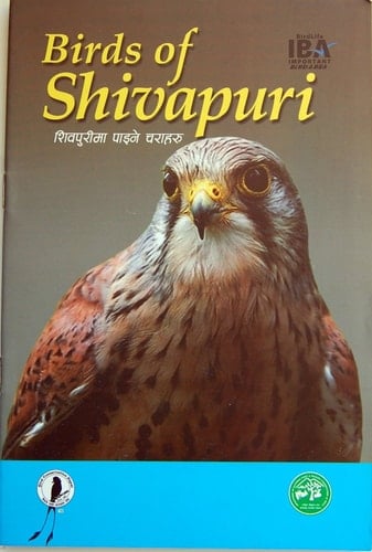Birds of Shivapuri