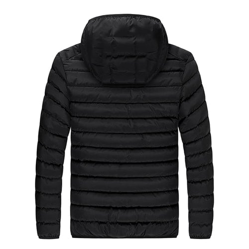 Judentum und Modernität: Essays zur Rolle der Juden in der deutschen und österreichischen Kultur, 1848 bis 1938 (German Edition)