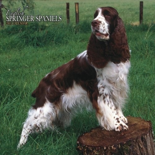 English Springer Spaniels 2007 Calendar