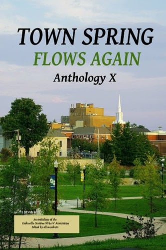 Town Spring X Flows Again