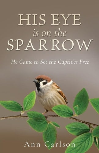 His Eye Is on the Sparrow He Came to Set the Captives Free