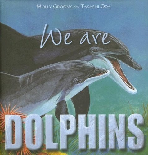 We are Dolphins