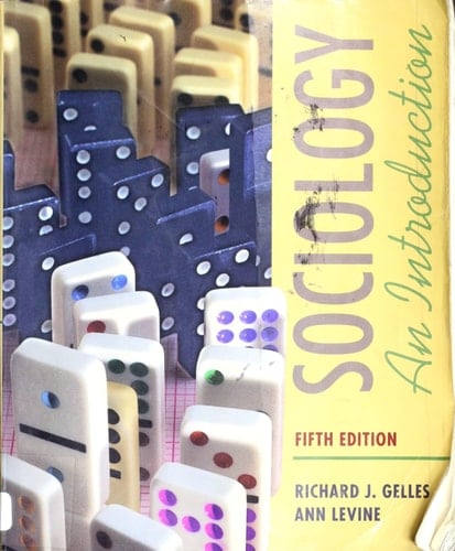 Sociology An Introduction