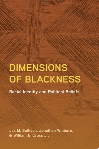 Dimensions of Blackness Racial Identity and Political Beliefs