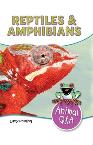 Reptiles & Amphibians Cold-Blooded Creatures