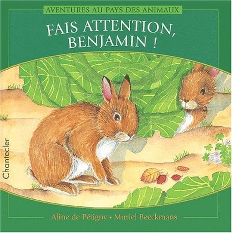 Fais Attention, Benjamin !