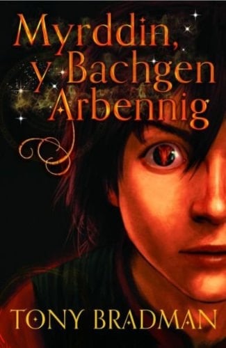 Myrddin, y Bachgen Arbennig