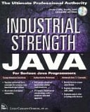 Industrial Strength Java