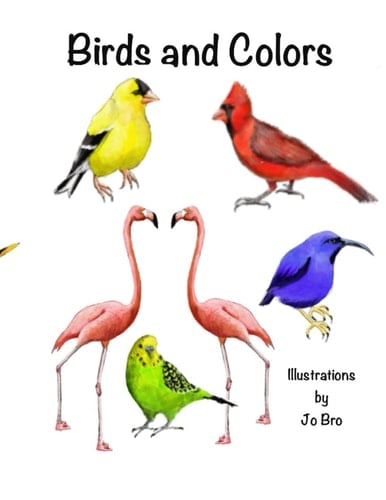 Birds and Colors