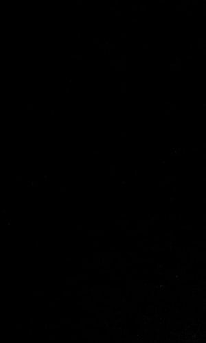 Violence and the social services in Northern Ireland (Studies in social policy and welfare)